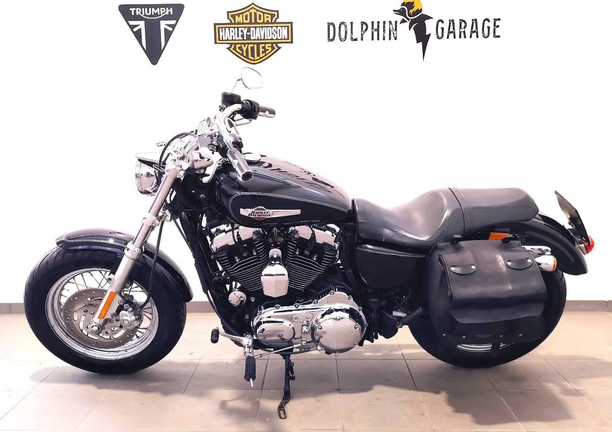 Harley-Davidson 1200 Custom (2007 - 13) - XL 1200C (8)