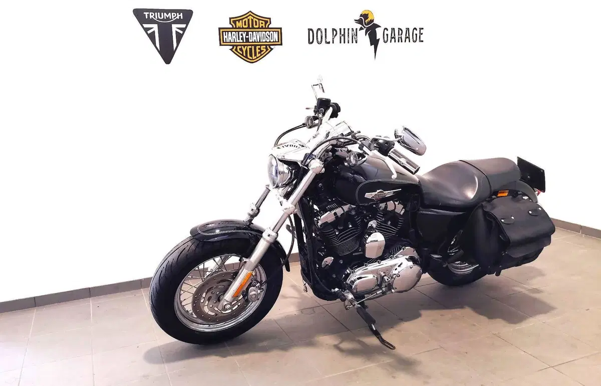 Harley-Davidson 1200 Custom (2007 - 13) - XL 1200C (9)