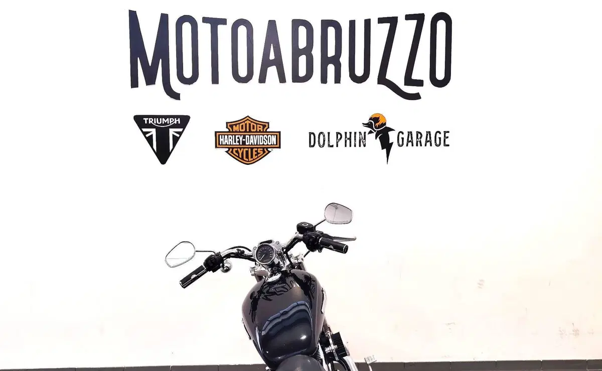 Harley-Davidson 1200 Custom (2007 - 13) - XL 1200C (12)