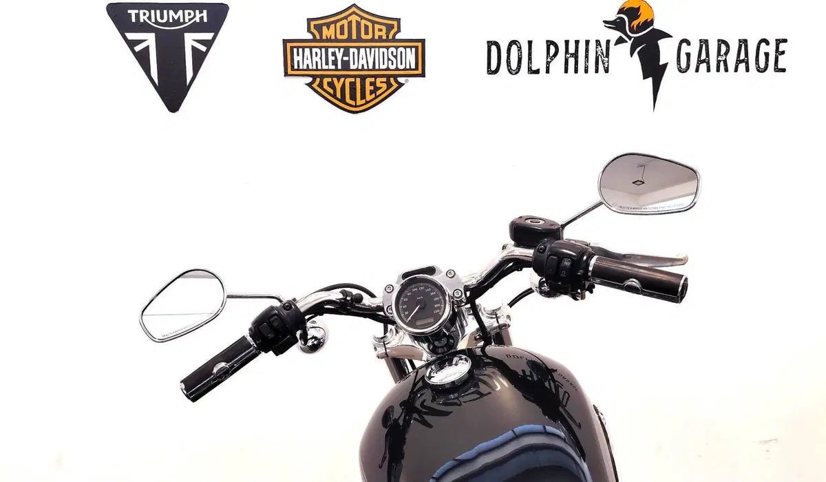 Harley-Davidson 1200 Custom (2007 - 13) - XL 1200C (13)