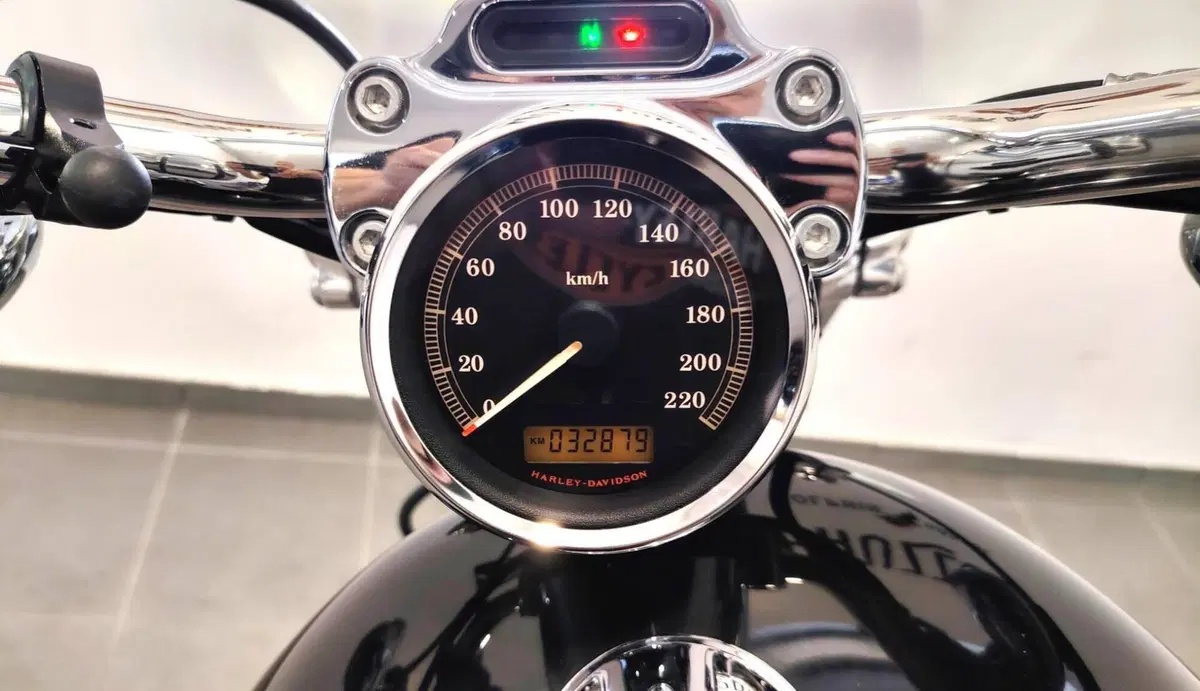 Harley-Davidson 1200 Custom (2007 - 13) - XL 1200C (14)