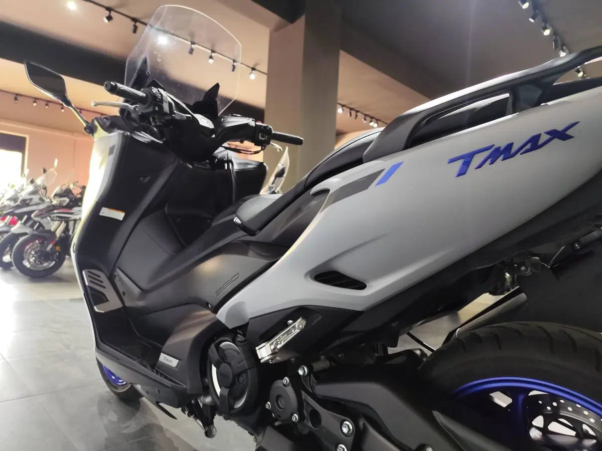 Yamaha T-Max 560 (2020 - 21) (6)