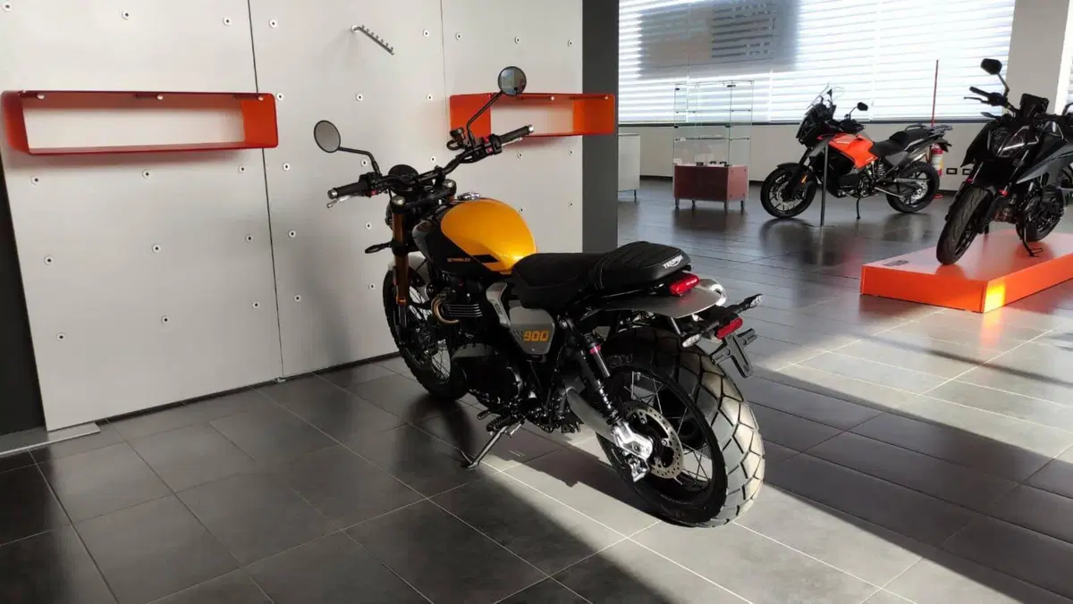 Triumph Scrambler 900 (2026) (6)