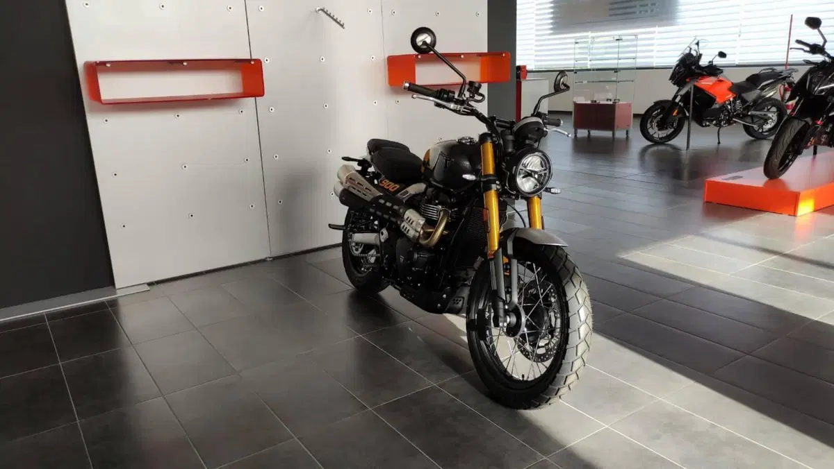 Triumph Scrambler 900 (2026) (5)