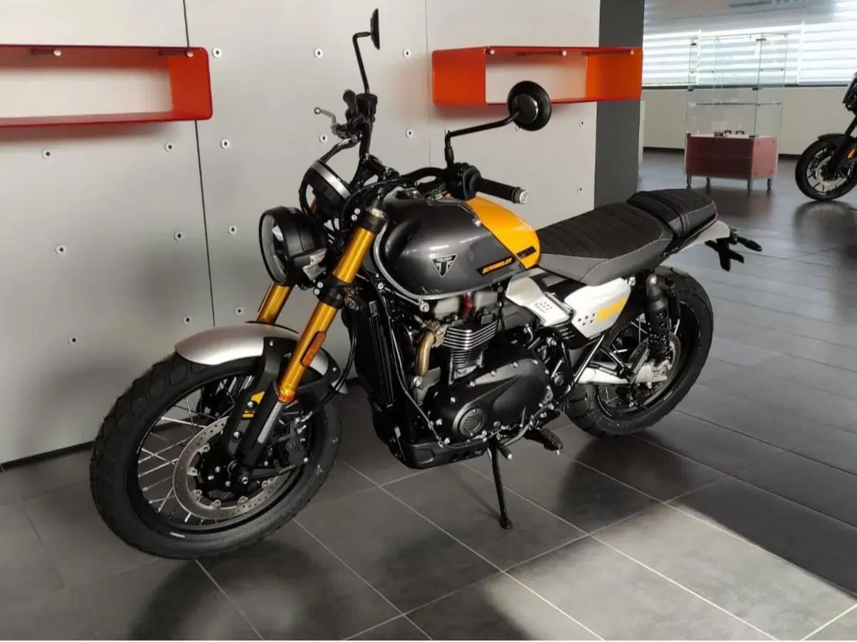 Triumph Scrambler 900 (2026) (10)