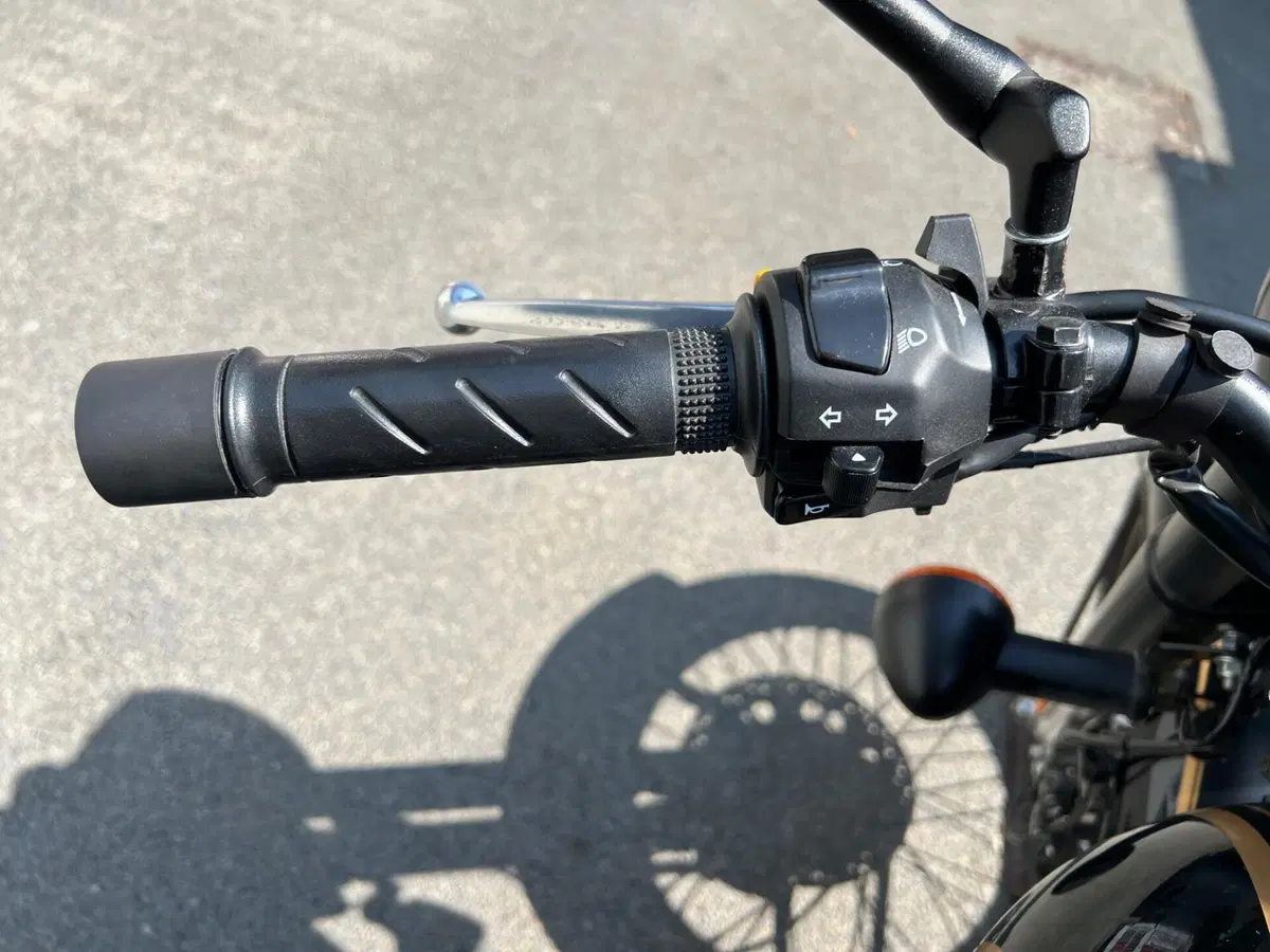Royal Enfield Classic 500 EFI Tribute (2021) (15)