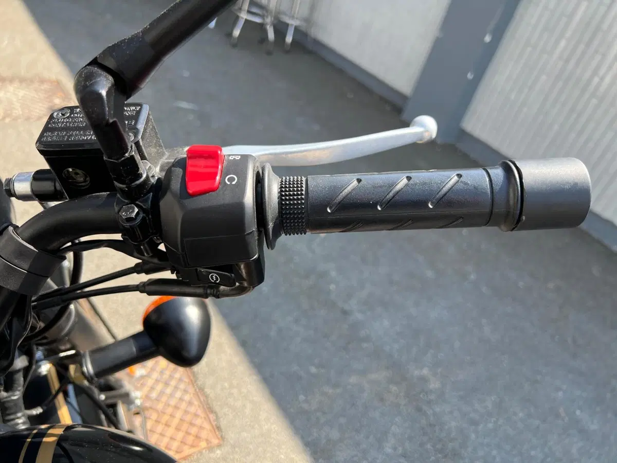 Royal Enfield Classic 500 EFI Tribute (2021) (16)
