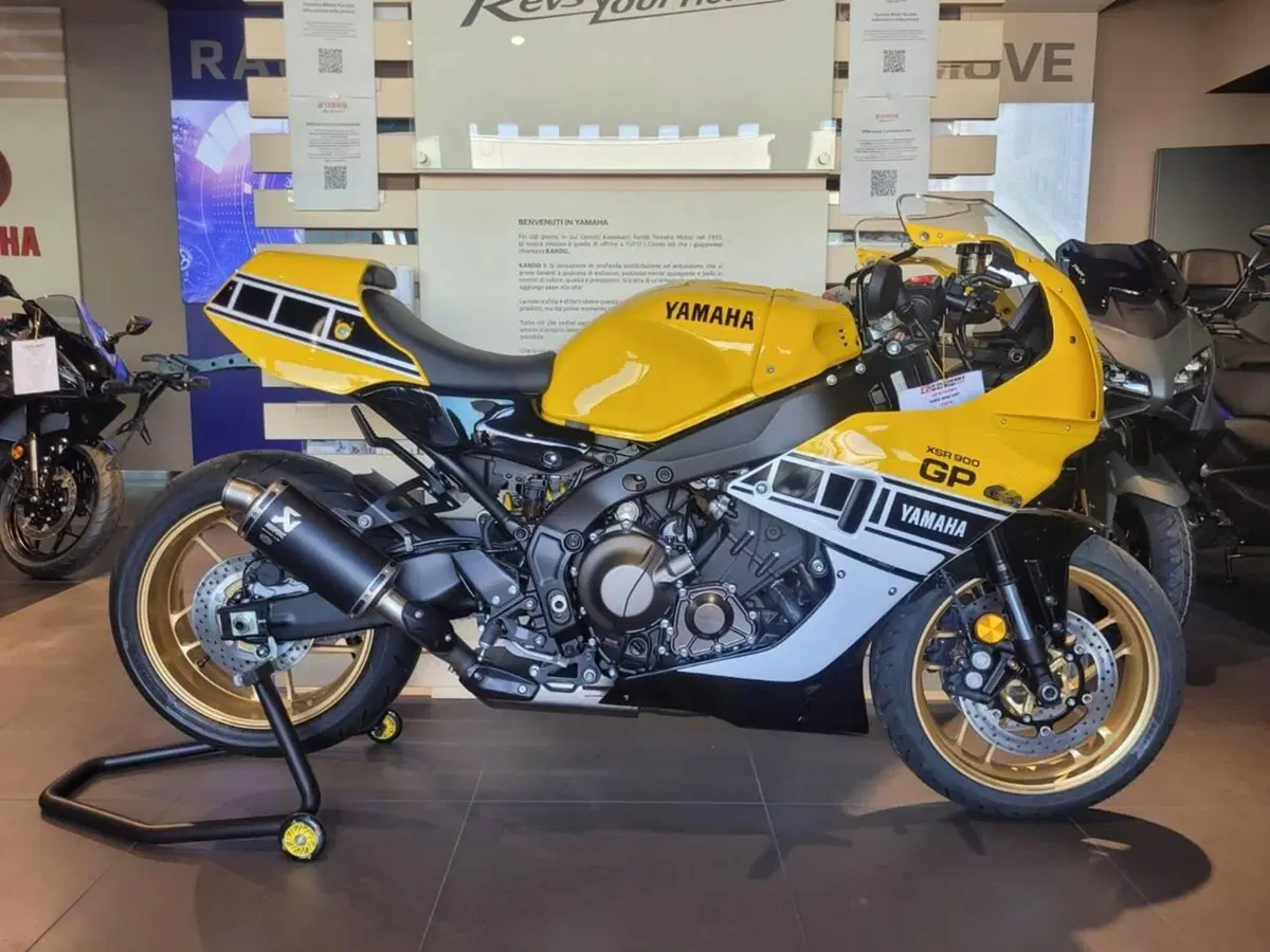 Yamaha XSR 900 GP (2024 - 26)