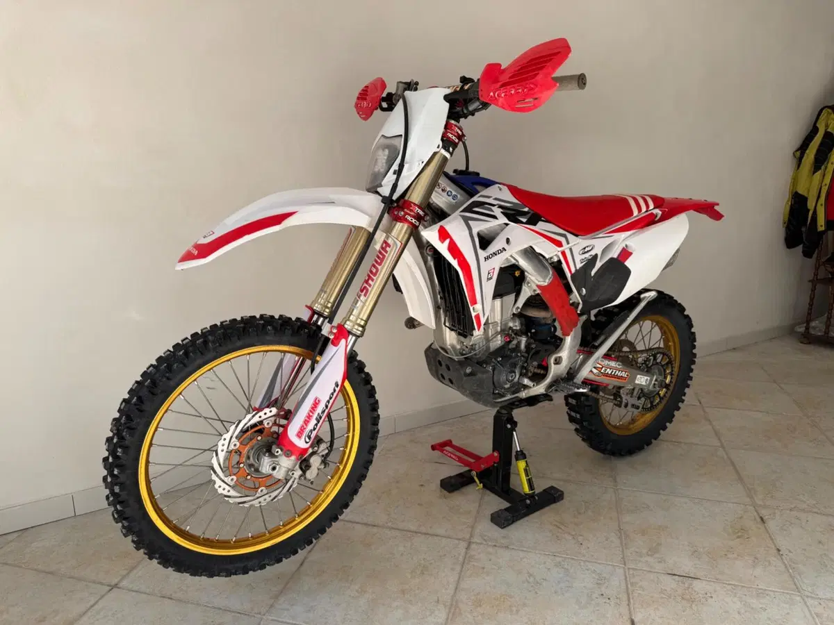 Honda CRF 450RX Enduro (2017) (2)