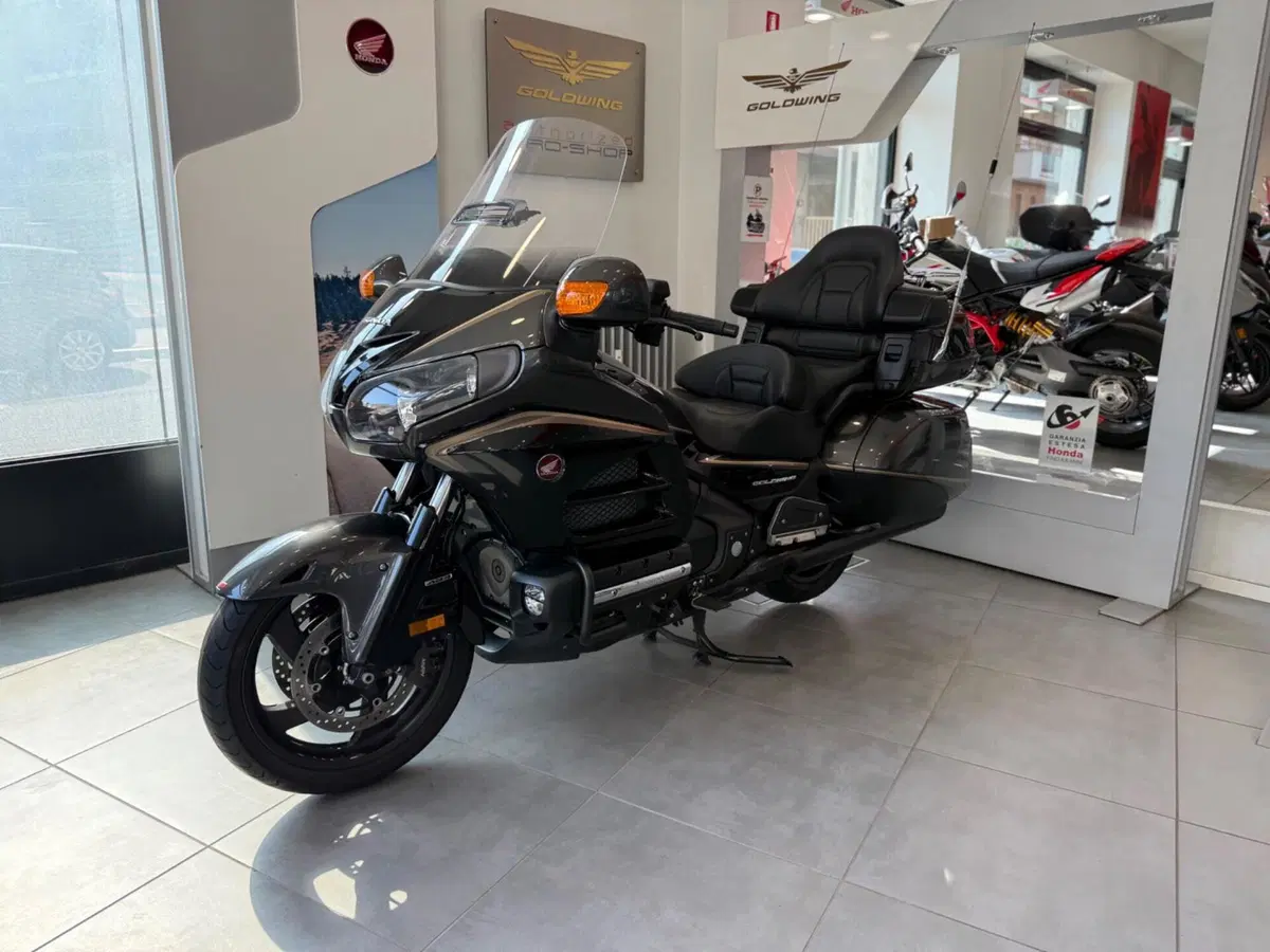 Honda GL 1800 Gold Wing (2012 - 17) (5)