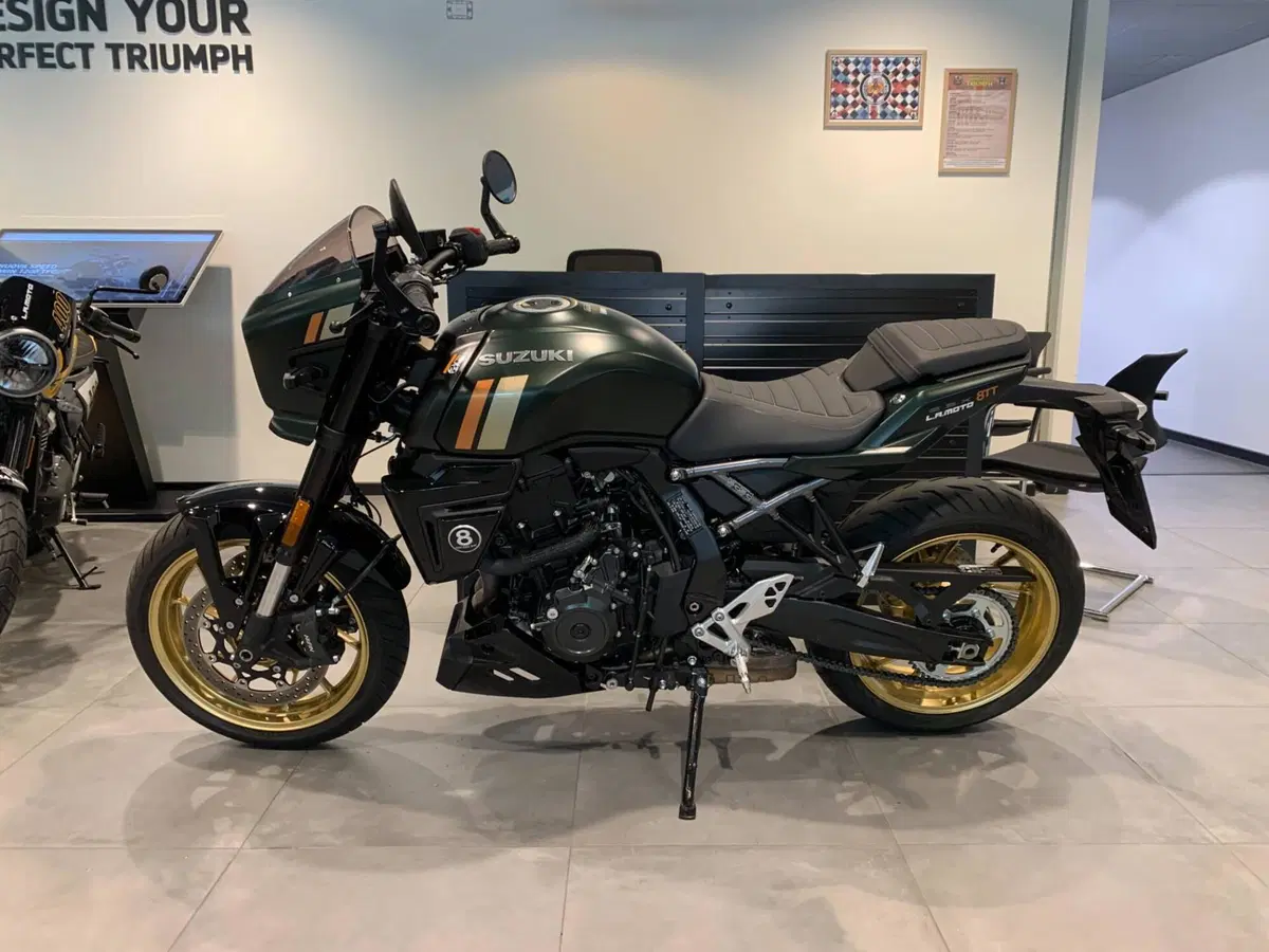 Suzuki GSX-8TT (2025 - 26) (2)