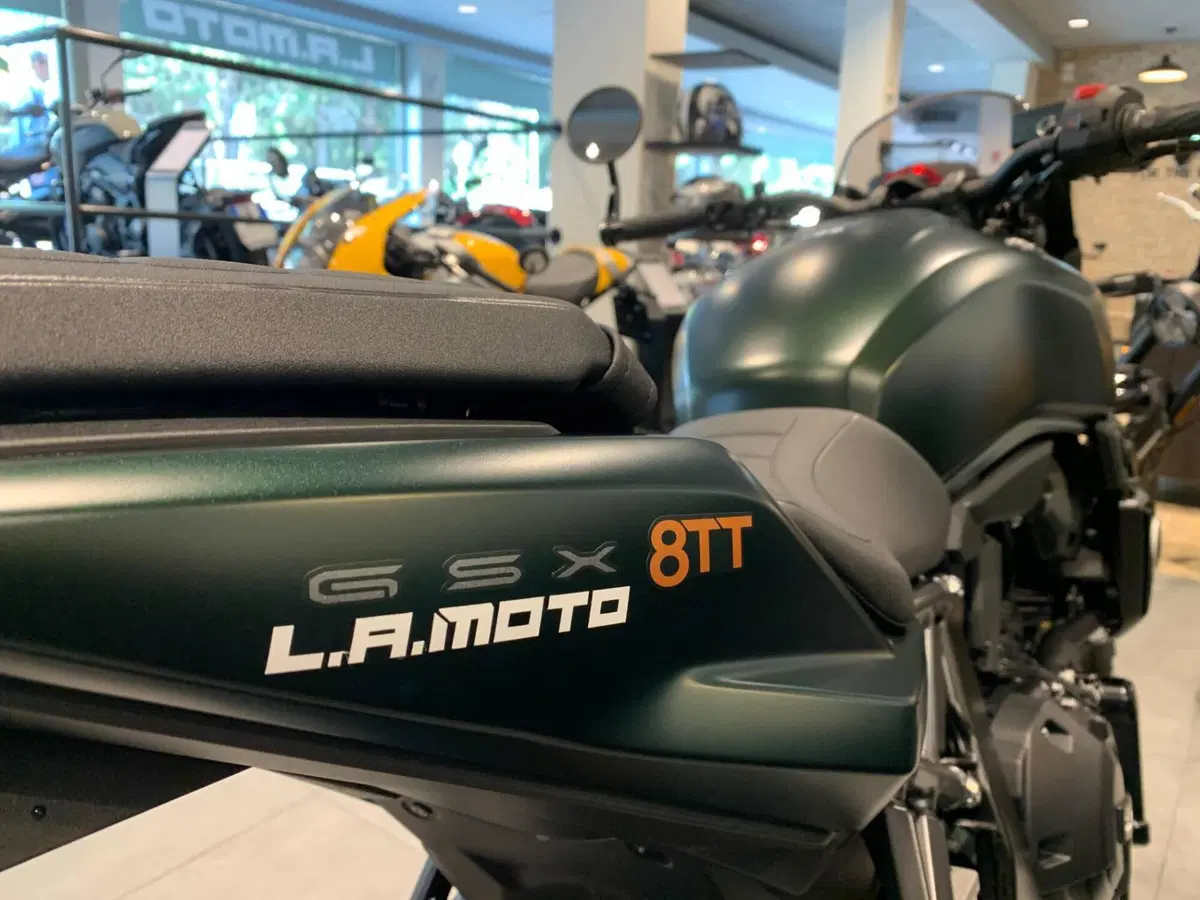 Suzuki GSX-8TT (2025 - 26) (5)