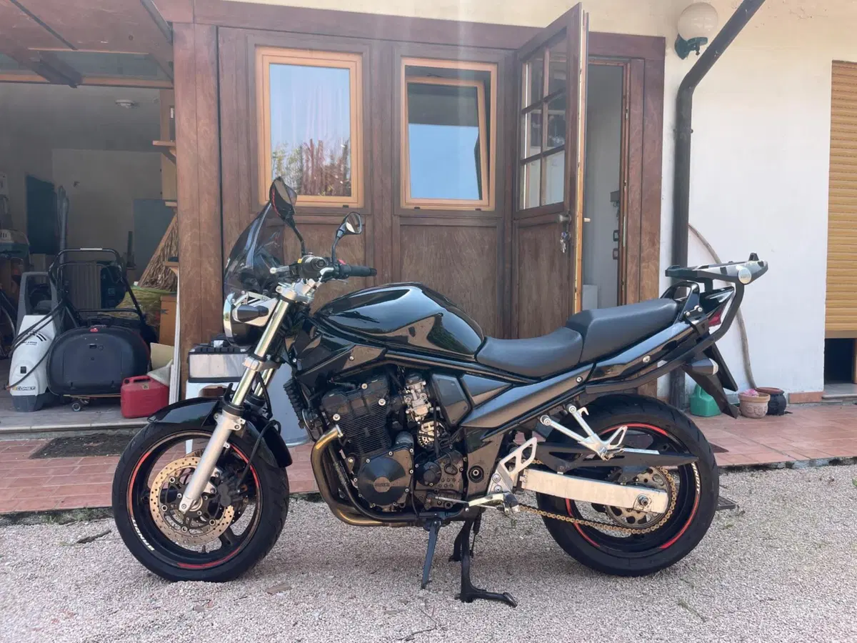 Suzuki GSF 650 Bandit (2005 - 06) (3)
