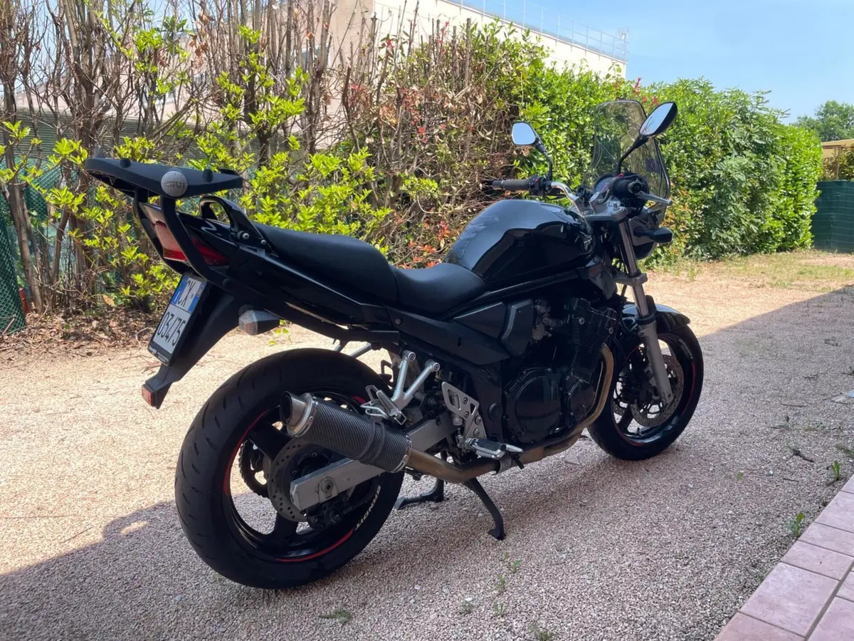 Suzuki GSF 650 Bandit (2005 - 06) (5)