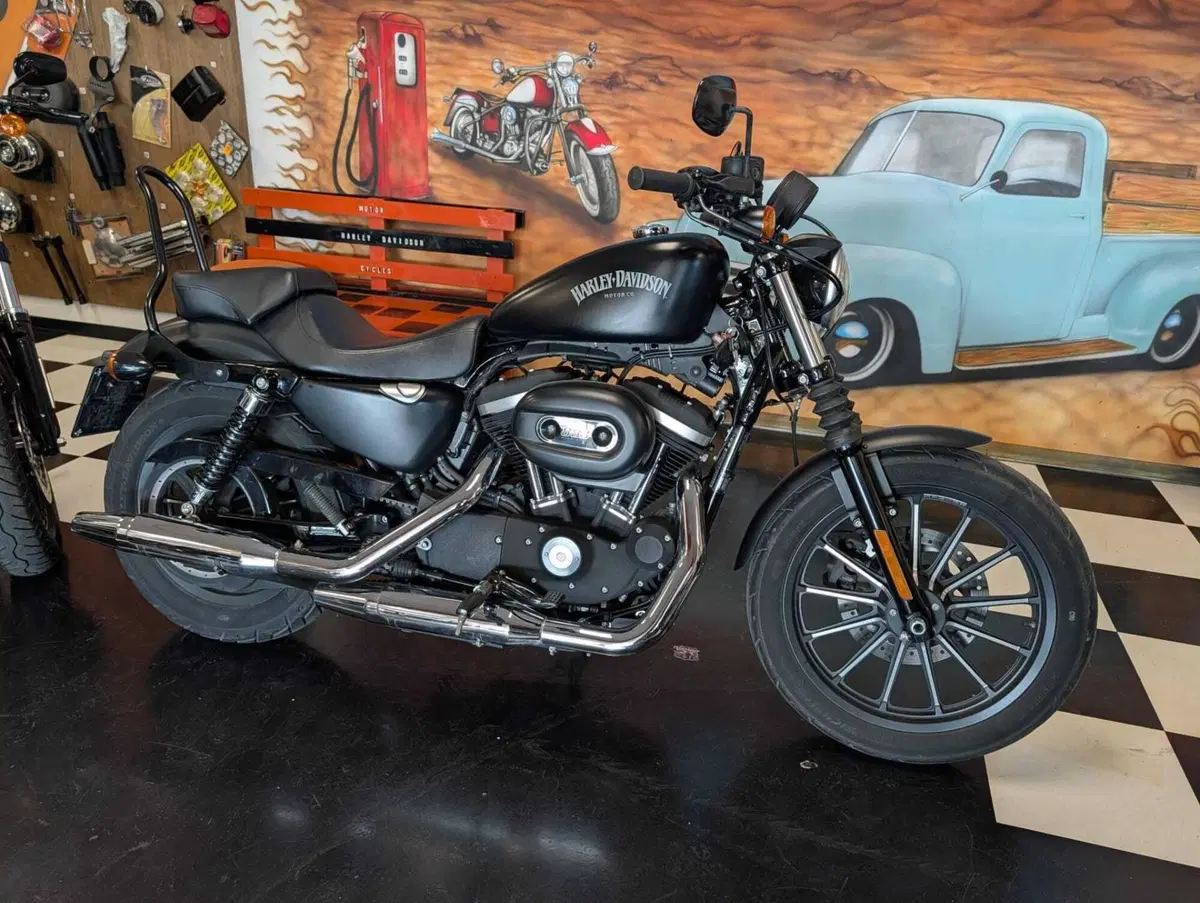 Harley-Davidson 883 Iron (2014 - 16) - XL 883N (2)