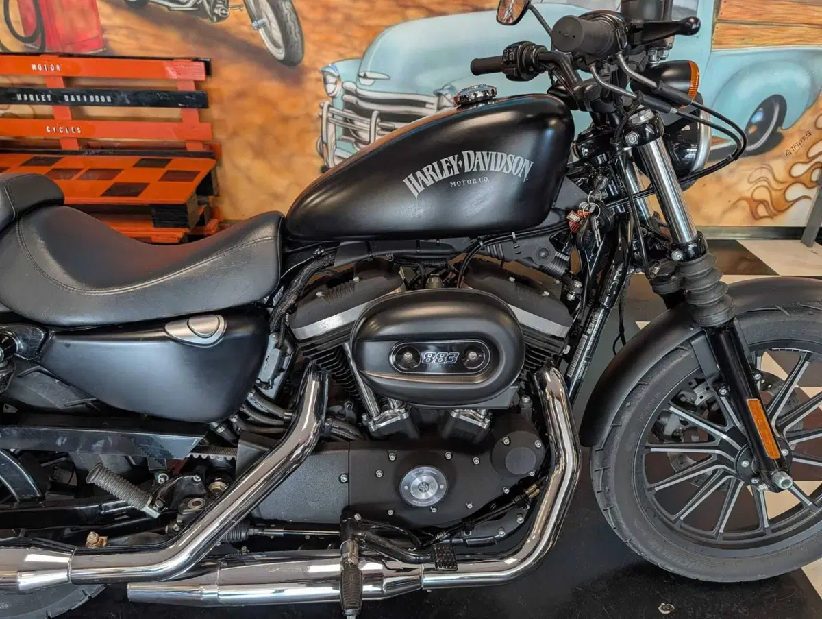 Harley-Davidson 883 Iron (2014 - 16) - XL 883N (4)