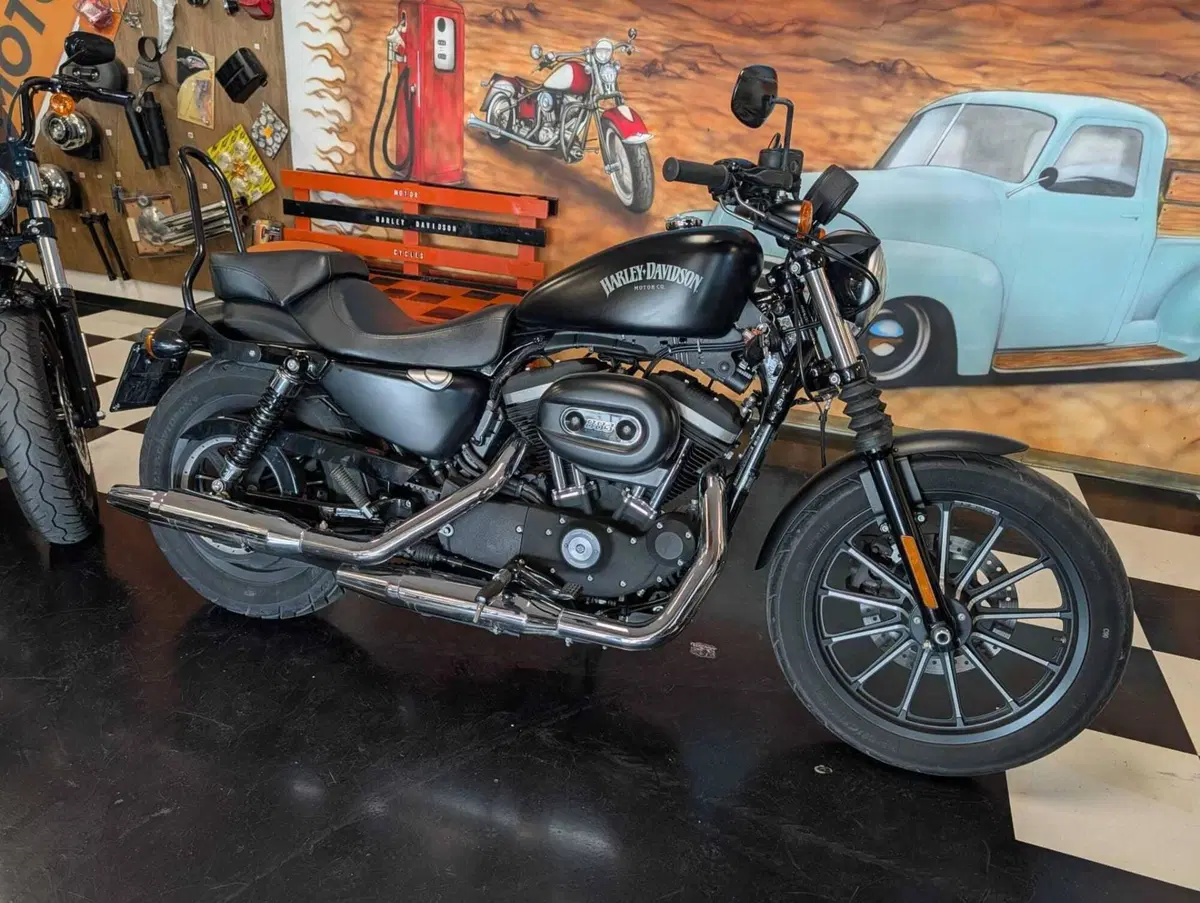 Harley-Davidson 883 Iron (2014 - 16) - XL 883N (5)