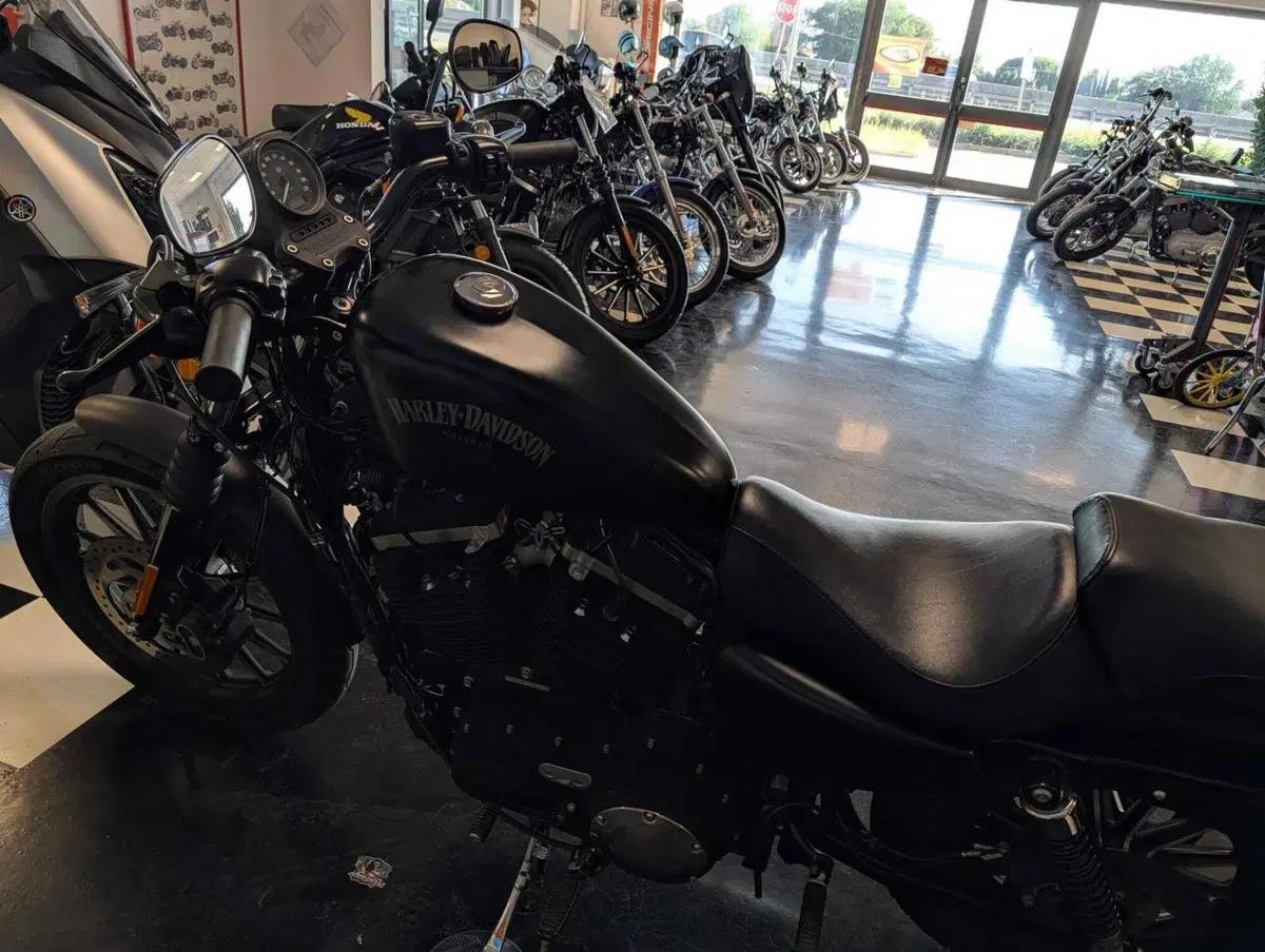 Harley-Davidson 883 Iron (2014 - 16) - XL 883N (6)