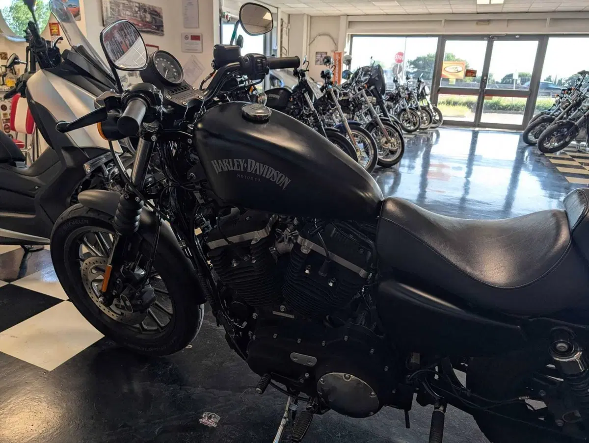 Harley-Davidson 883 Iron (2014 - 16) - XL 883N (7)