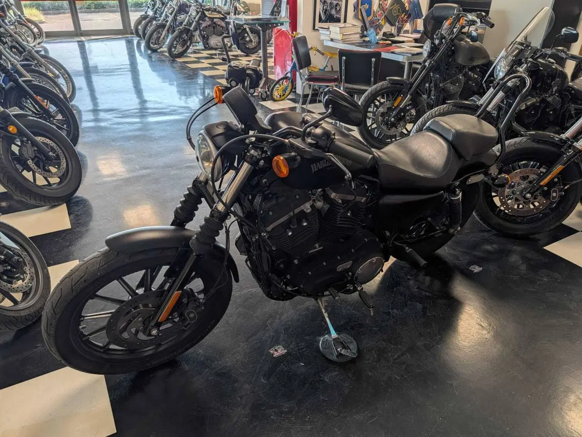 Harley-Davidson 883 Iron (2014 - 16) - XL 883N (8)