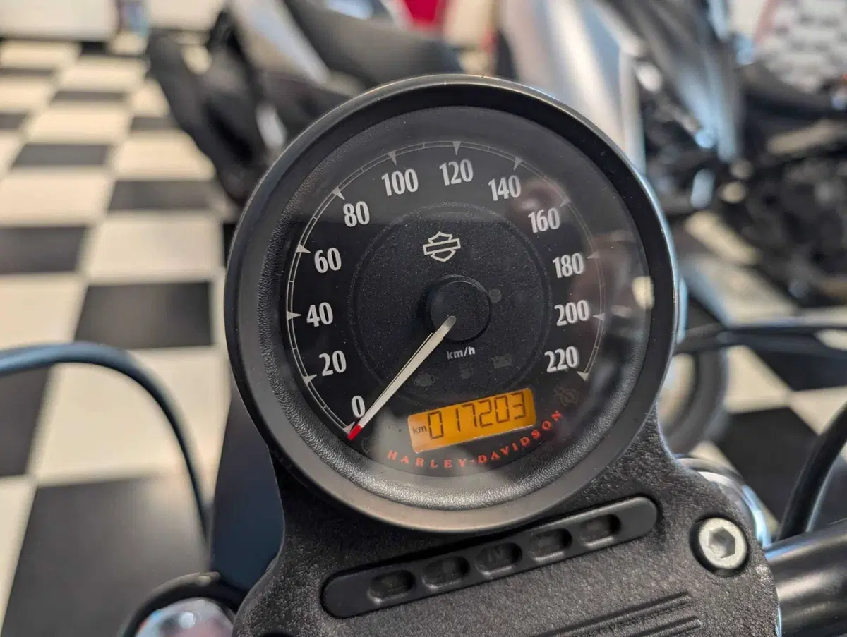 Harley-Davidson 883 Iron (2014 - 16) - XL 883N (9)