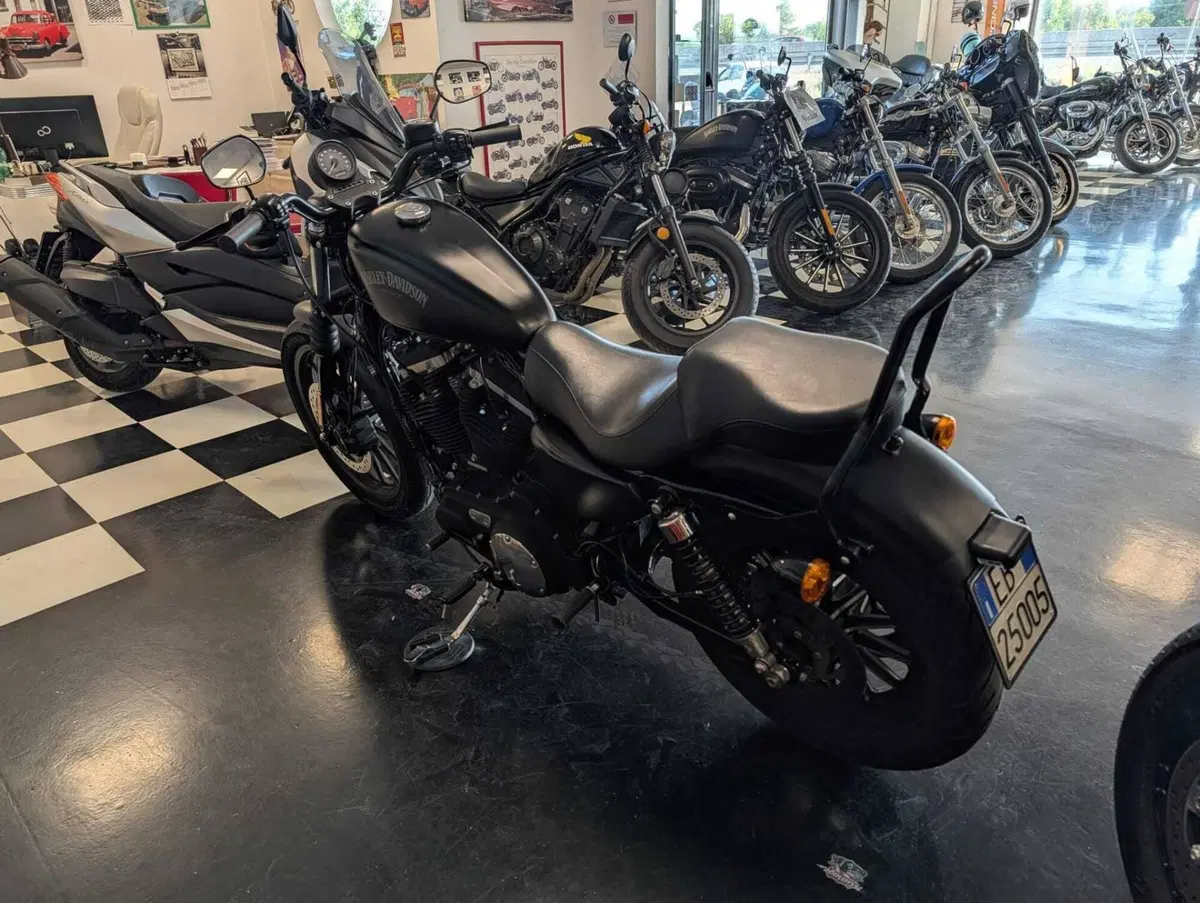 Harley-Davidson 883 Iron (2014 - 16) - XL 883N (10)