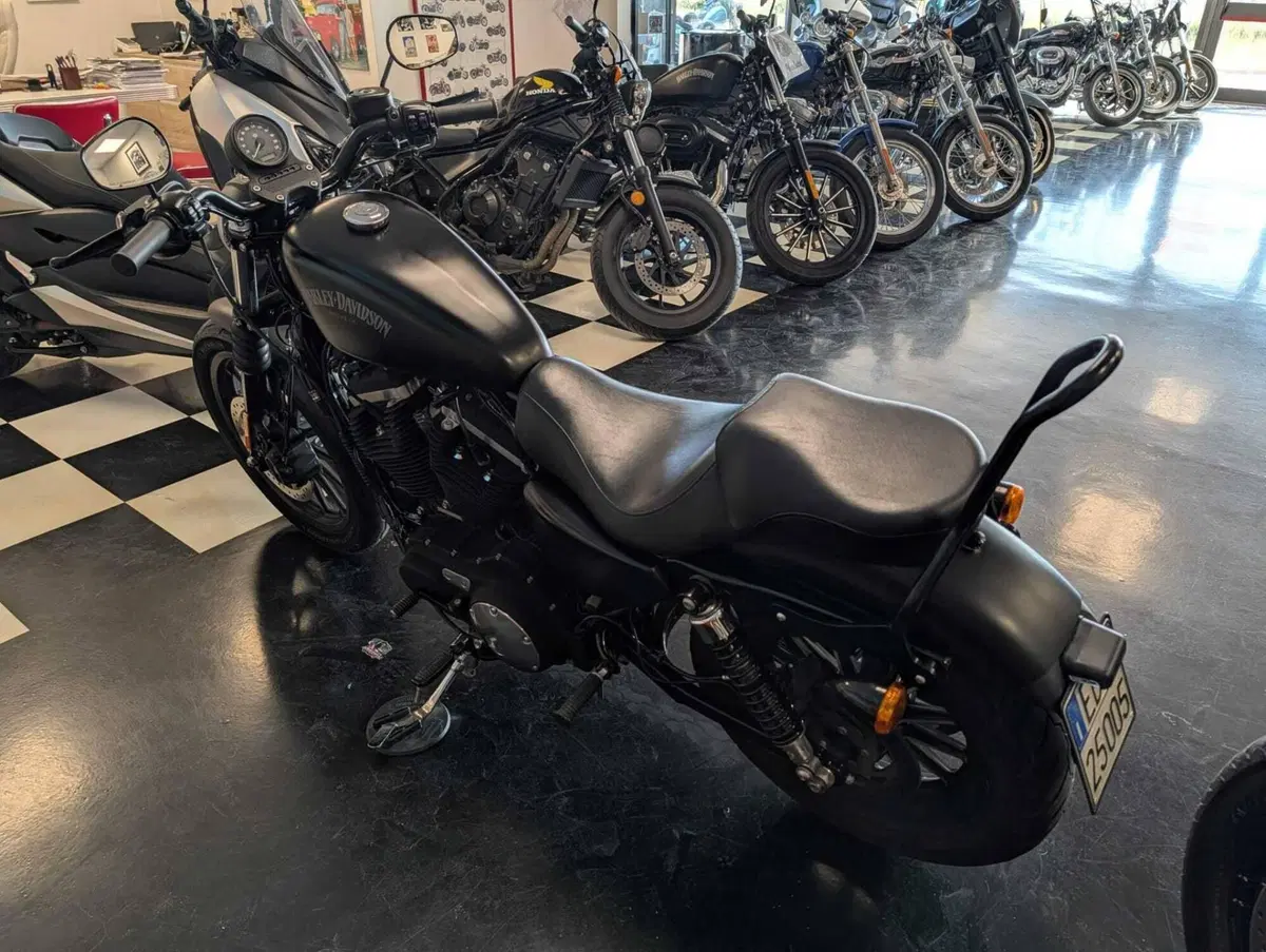 Harley-Davidson 883 Iron (2014 - 16) - XL 883N (11)