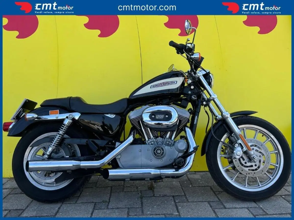 Harley-Davidson 1200 Roadster (2002 - 05) - XL 1200R (3)