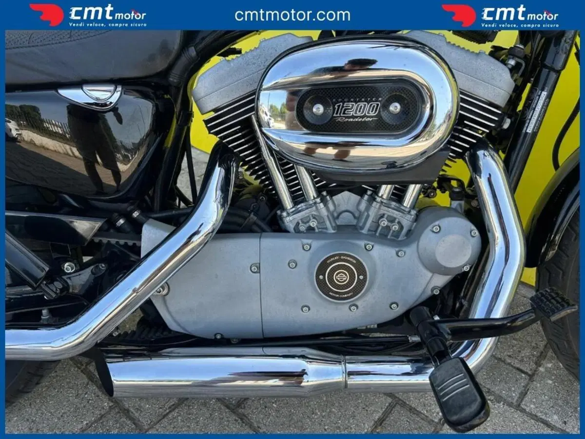 Harley-Davidson 1200 Roadster (2002 - 05) - XL 1200R (6)