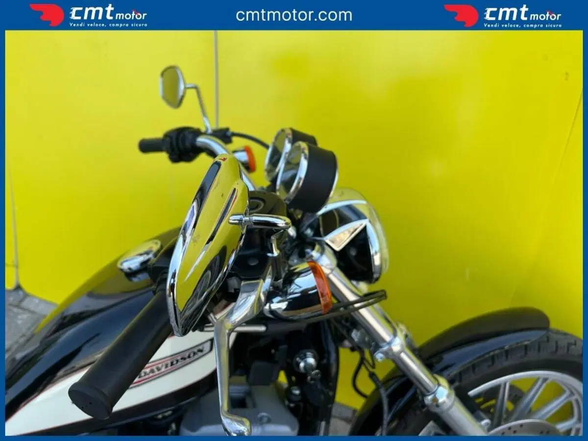 Harley-Davidson 1200 Roadster (2002 - 05) - XL 1200R (10)