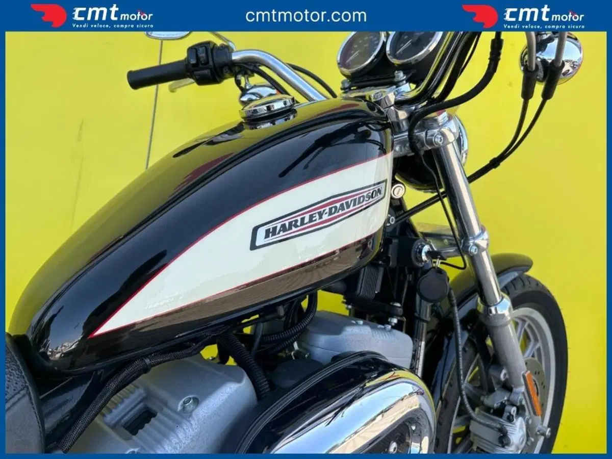 Harley-Davidson 1200 Roadster (2002 - 05) - XL 1200R (11)