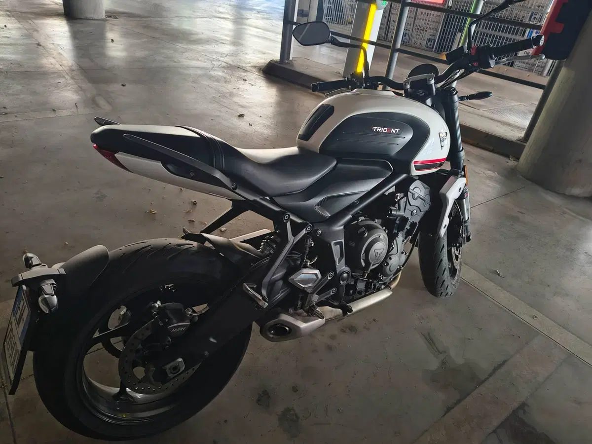 Triumph Trident 660 (2021 - 24) (3)