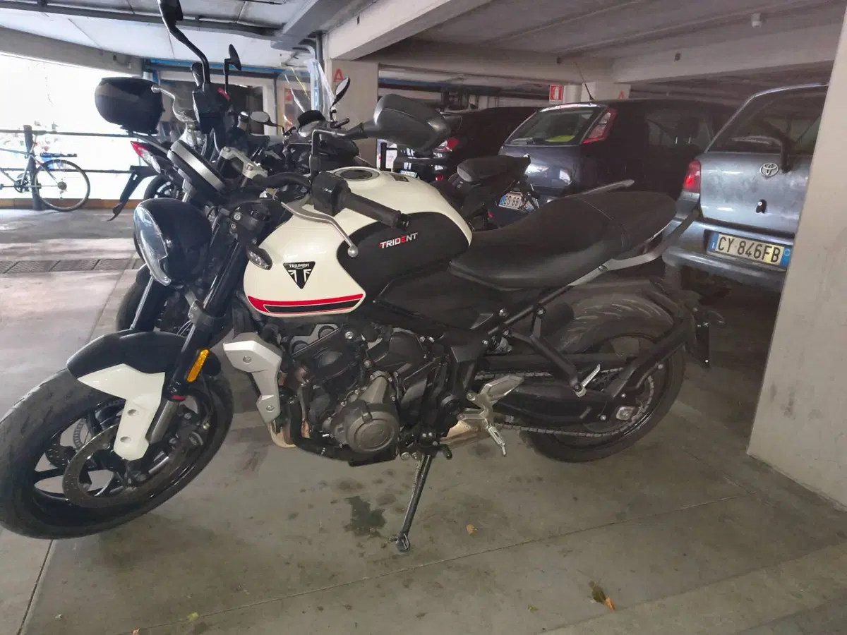 Triumph Trident 660 (2021 - 24) (5)