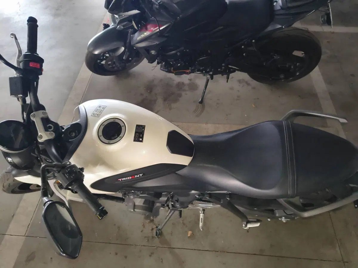 Triumph Trident 660 (2021 - 24) (8)
