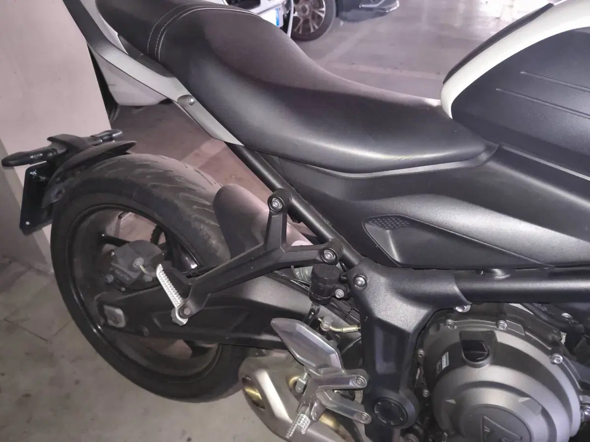 Triumph Trident 660 (2021 - 24) (12)