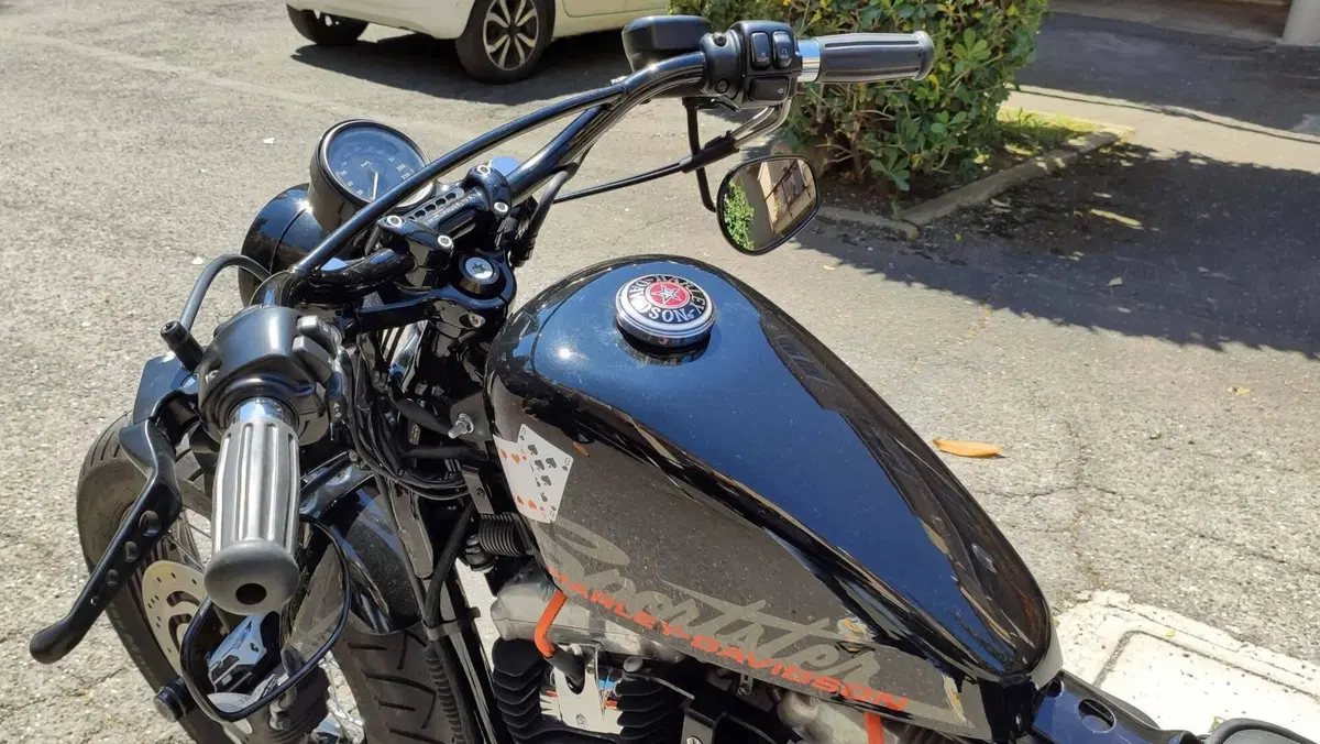 Harley-Davidson 1200 Forty-Eight (2010 - 15) (5)