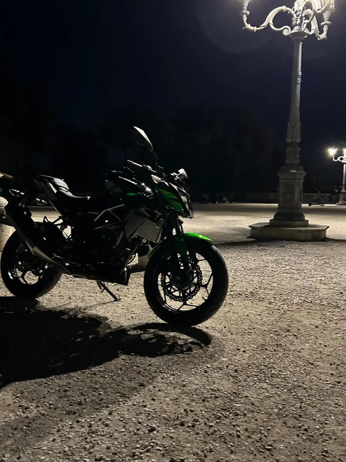 Kawasaki Z 125 (2021 - 24) (4)