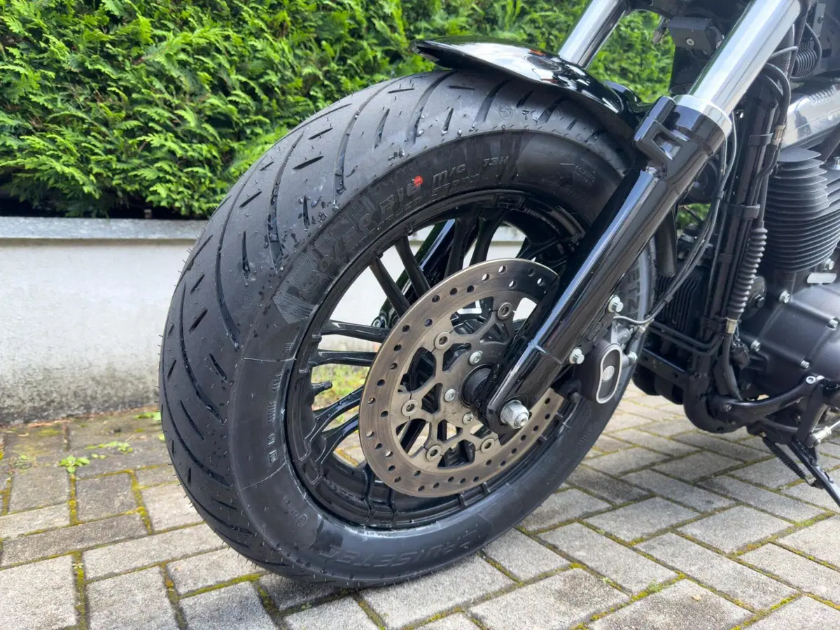 Harley-Davidson 1200 Forty-Eight (2016 - 20) (6)