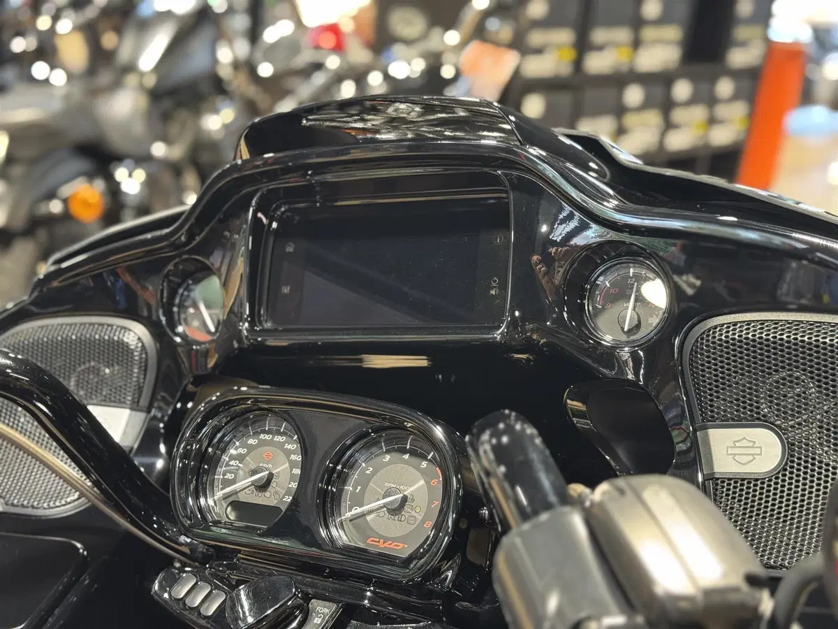 Harley-Davidson 117 Road Glide (2021) (3)