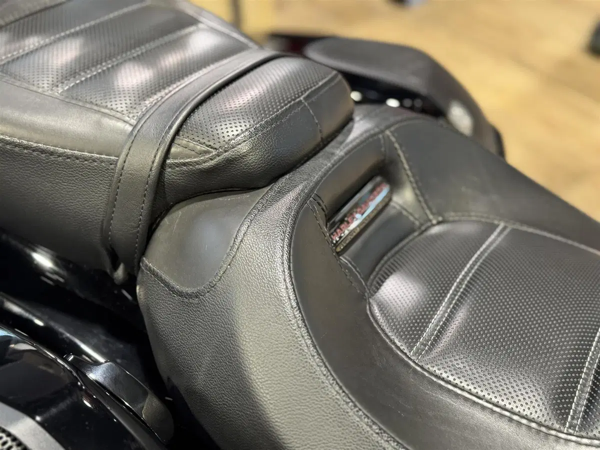 Harley-Davidson 117 Road Glide (2021) (2)