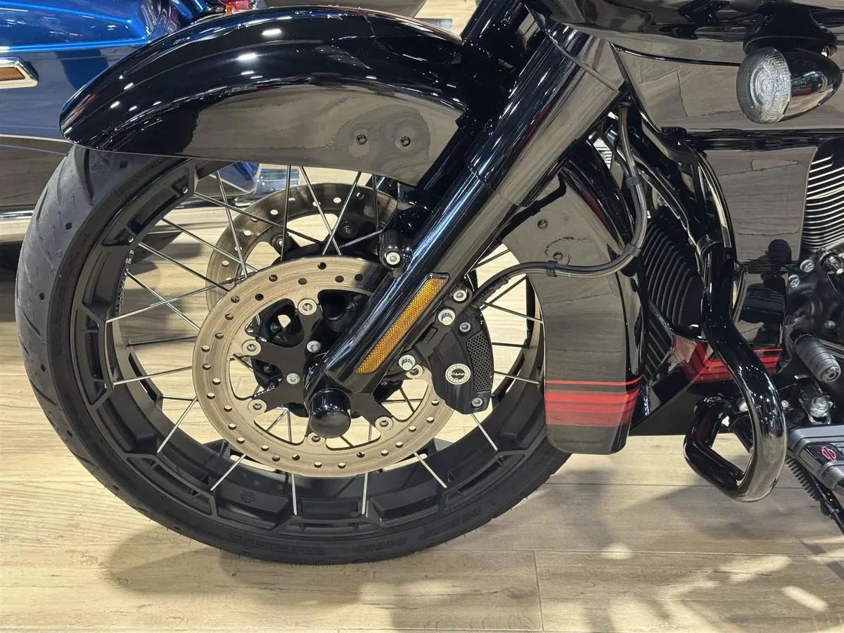 Harley-Davidson 117 Road Glide (2021) (9)