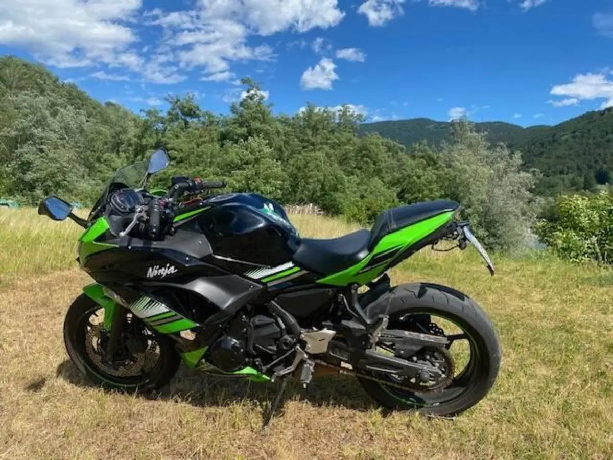 Kawasaki Ninja 650 (2017 - 19) (2)
