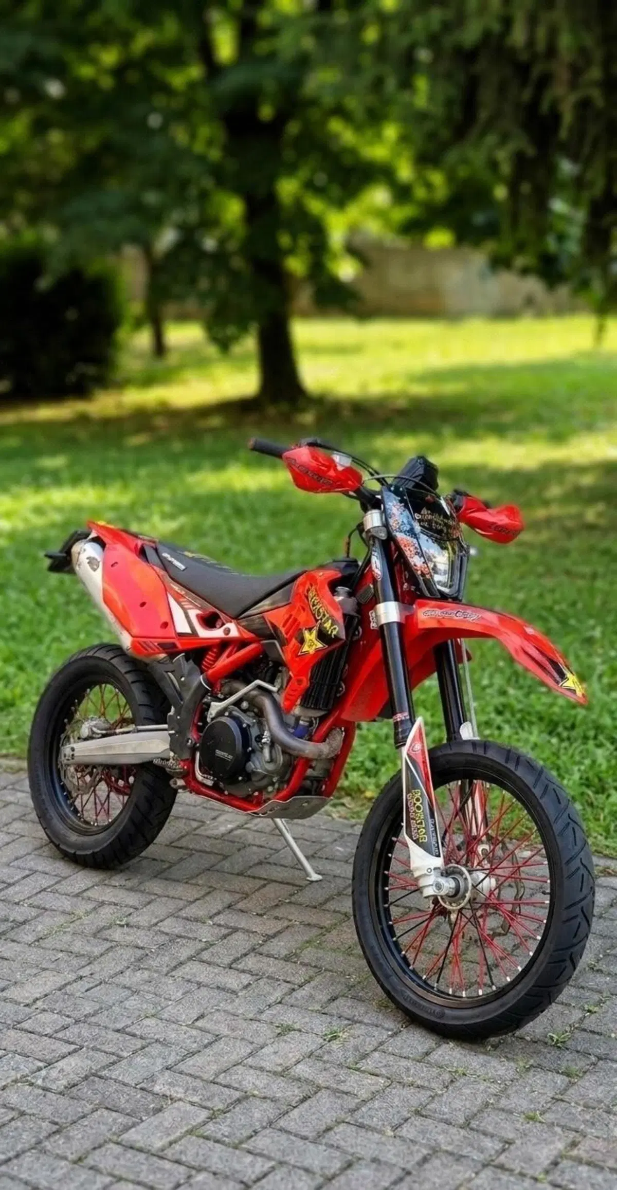 Betamotor RR 450 4T Enduro (2013) (2)