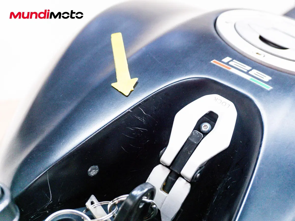 Ducati Monster 821 (2018 - 20) (14)