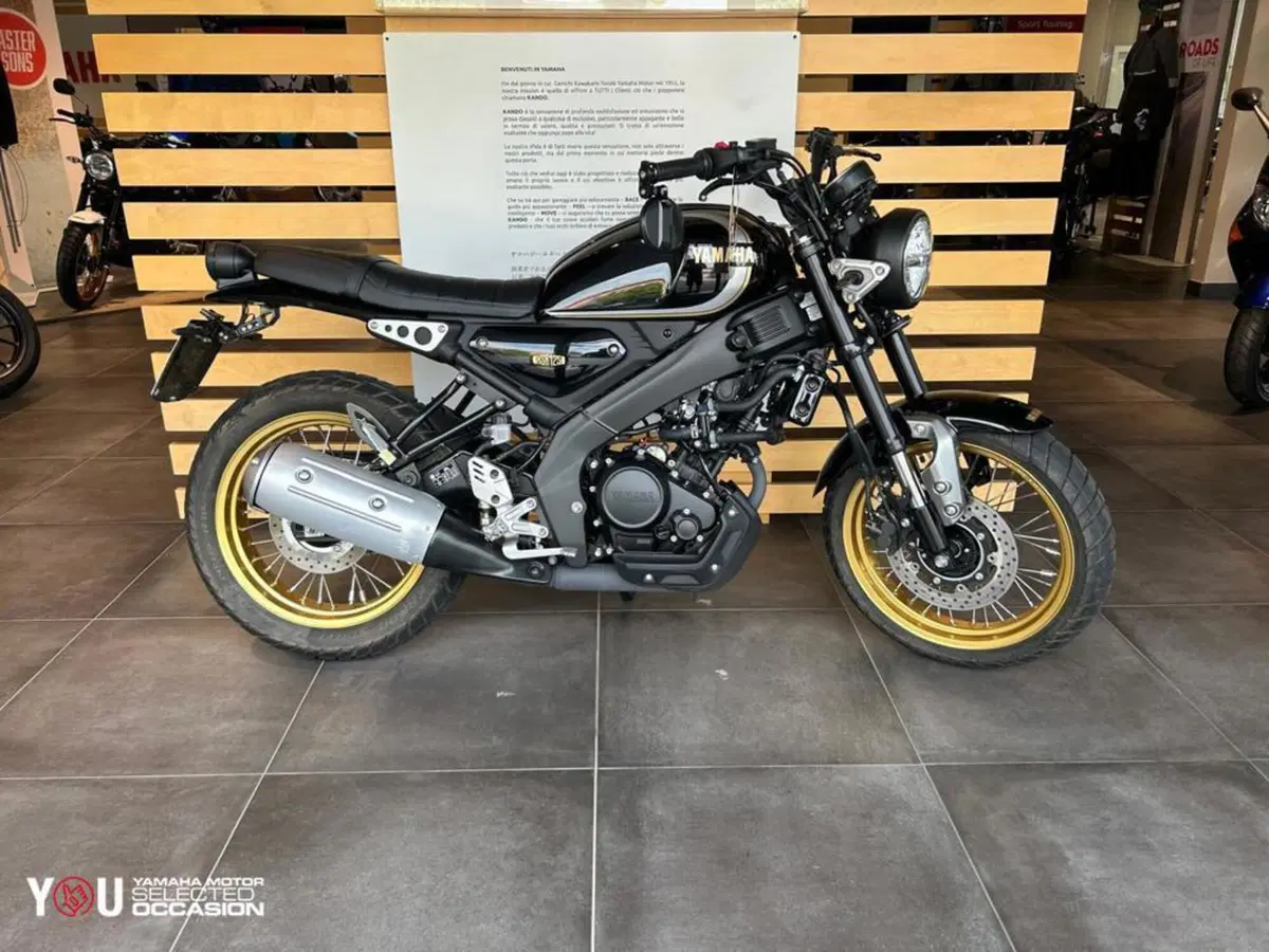 Yamaha XSR 125 Legacy (2022 - 24) (8)