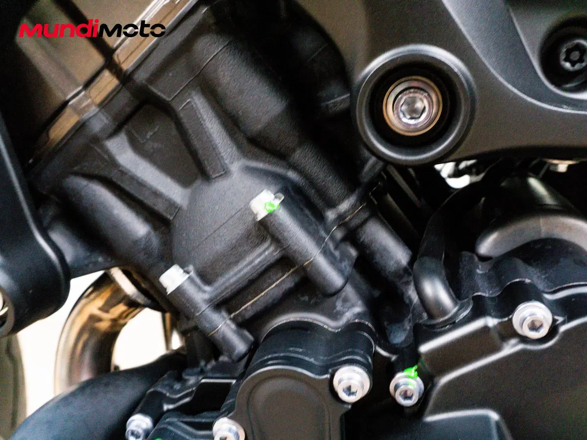 Yamaha MT-09 SP (2018 - 20) (21)