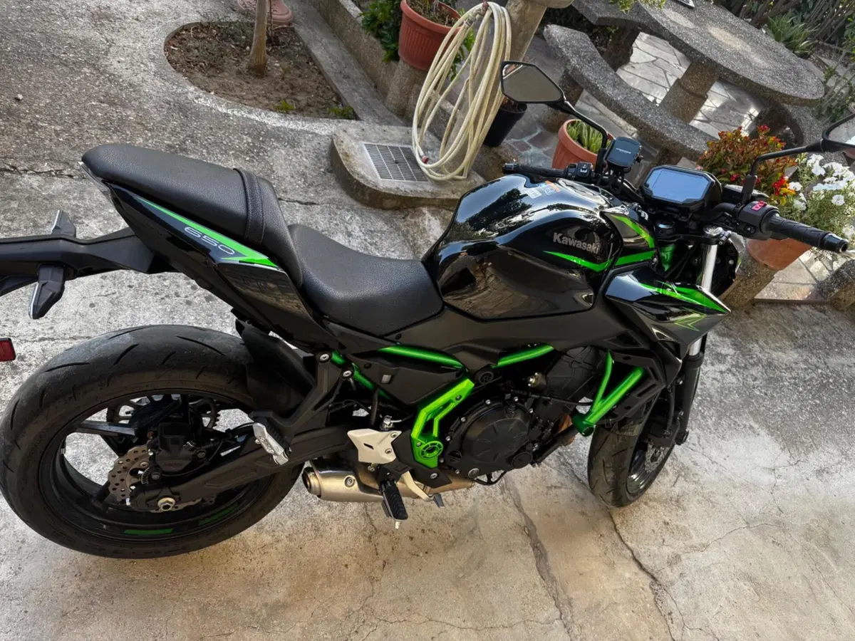 Kawasaki Z 650 (2025 - 26) (3)