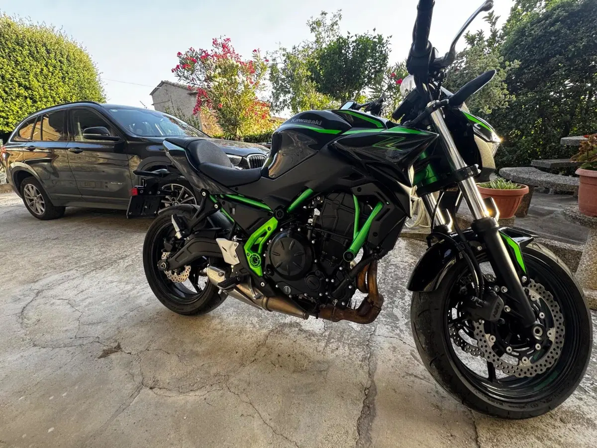 Kawasaki Z 650 (2025 - 26) (7)
