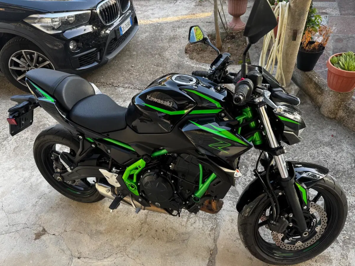 Kawasaki Z 650 (2025 - 26) (8)