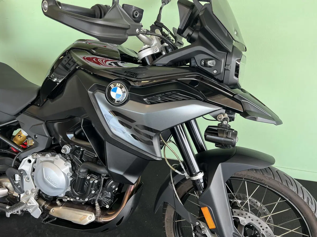 Bmw F 850 GS (2021 - 24) (12)